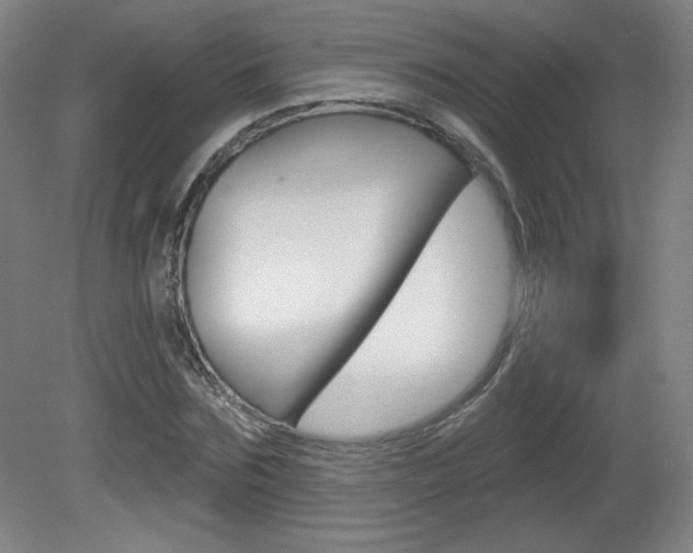 X0000081600875200701151051