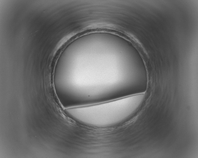 X0000081600877200701151051