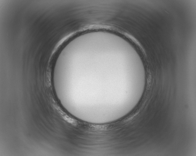X0000081600878200701151051