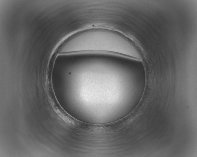 X0000081600880200701151051