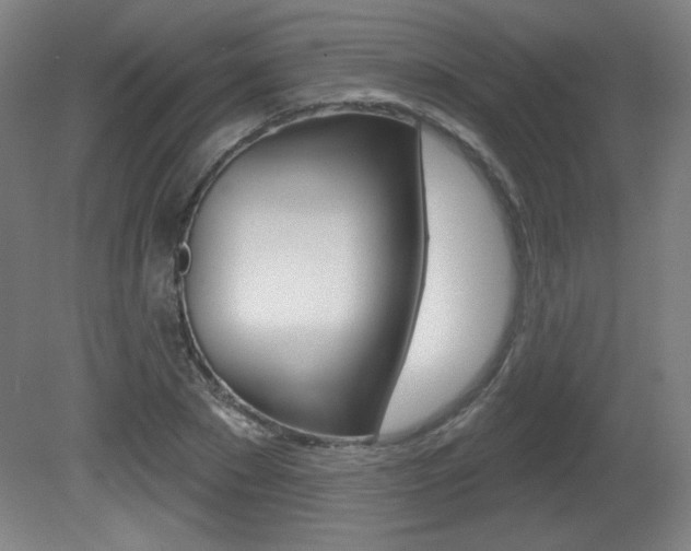 X0000081600881200701151051