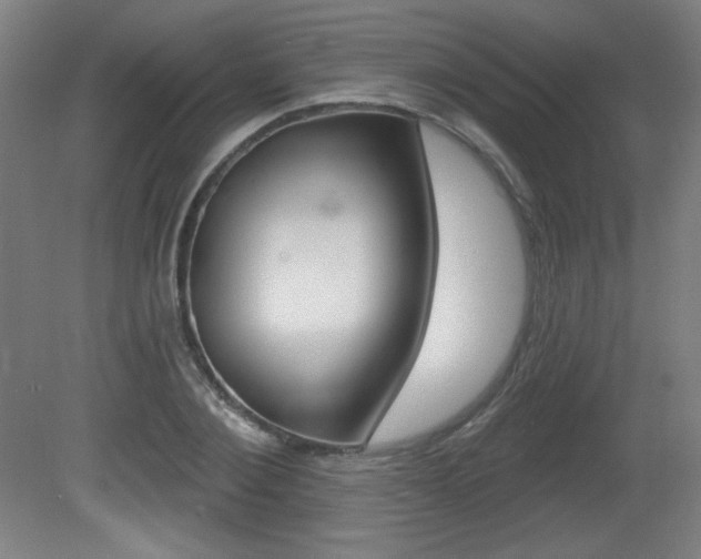 X0000081600884200701151051