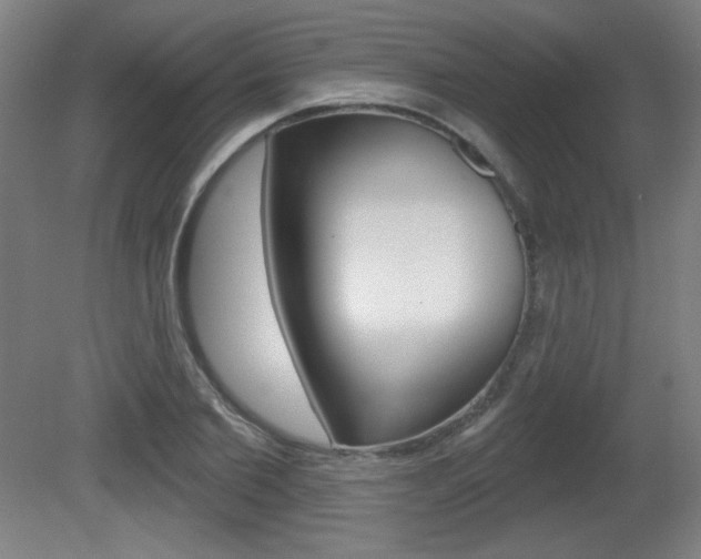 X0000081600885200701151051