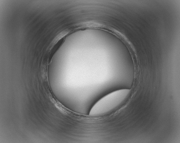X0000081600889200701151051