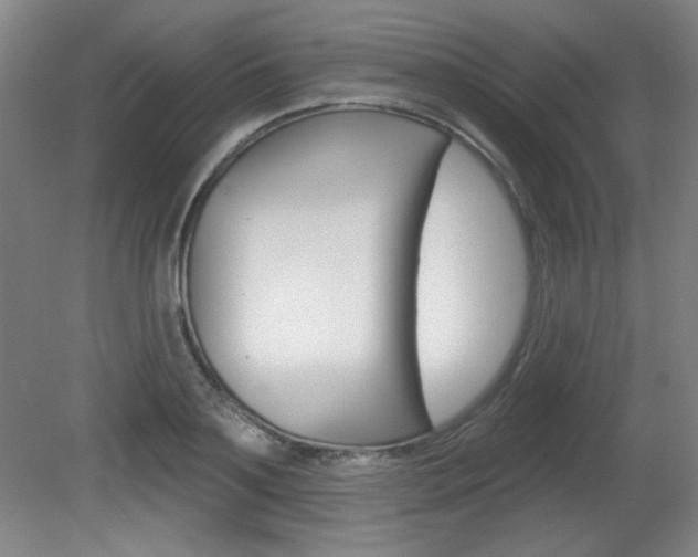 X0000081600891200701151051