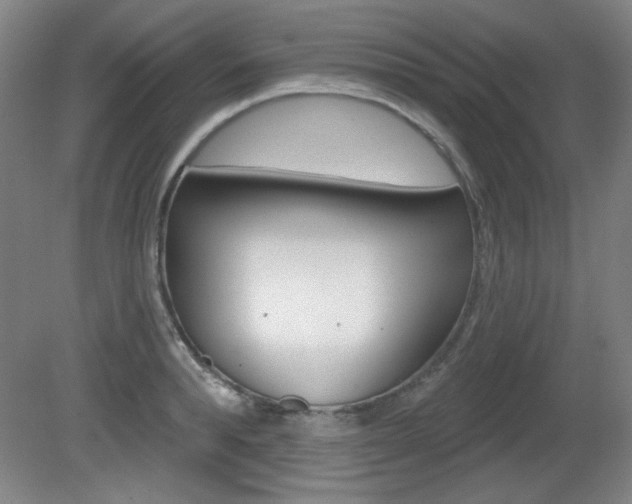 X0000081600896200701151051