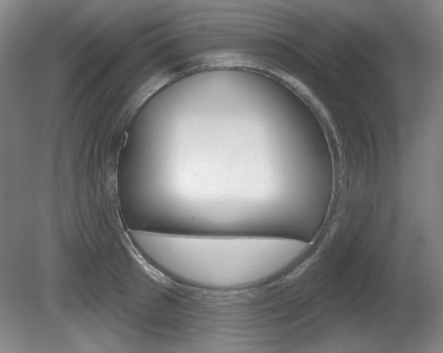 X0000081600897200701151051