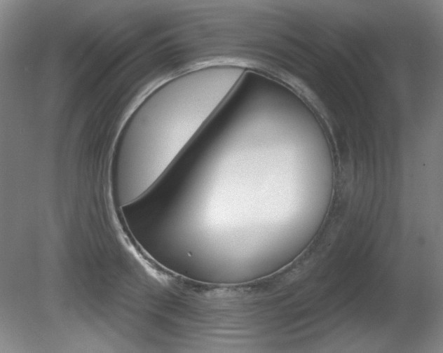 X0000081600898200701151051