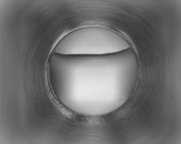 X0000081600899200701151051