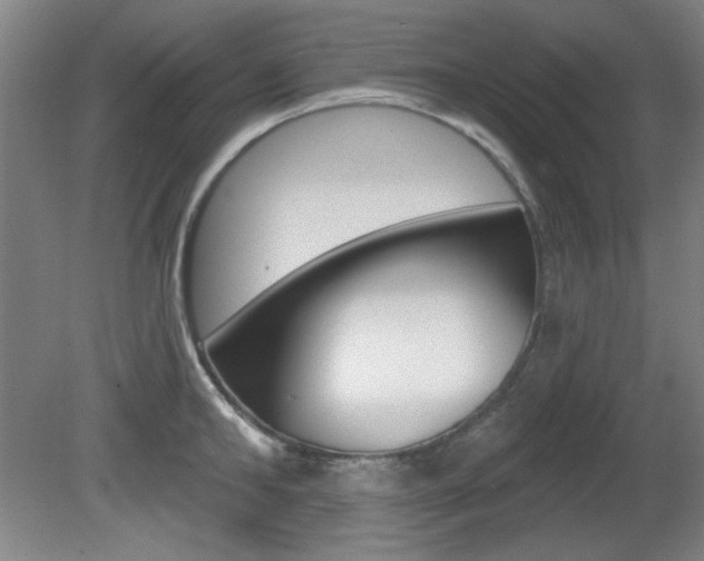 X0000081600902200701151050