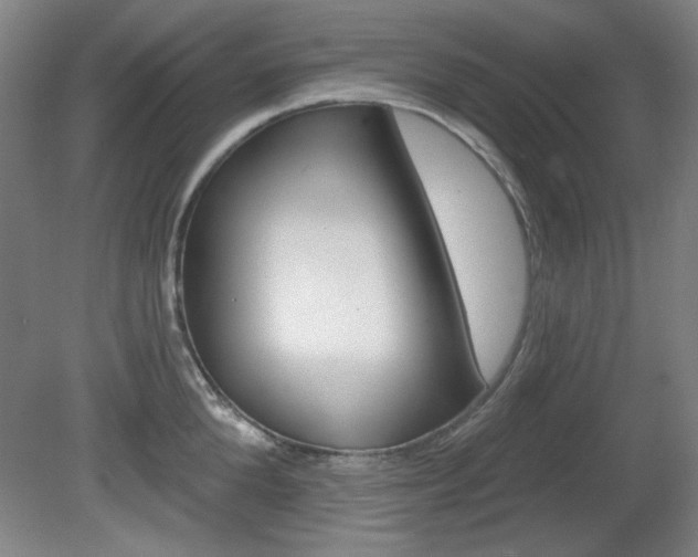 X0000081600904200701151050