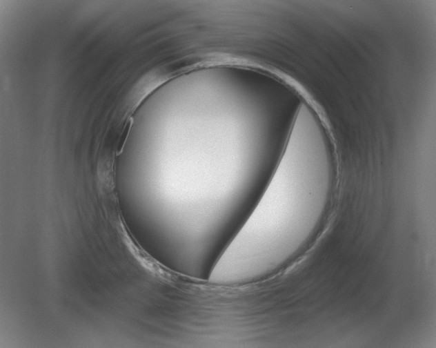 X0000081600905200701151050