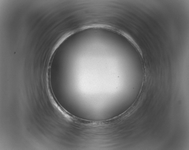 X0000081600906200701151050