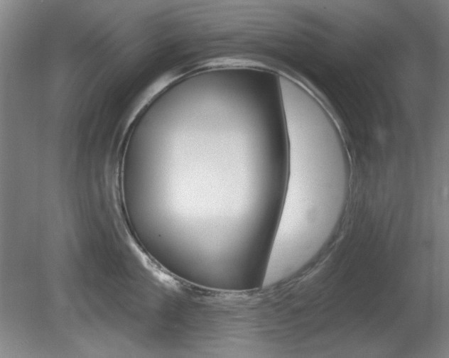 X0000081600909200701151050