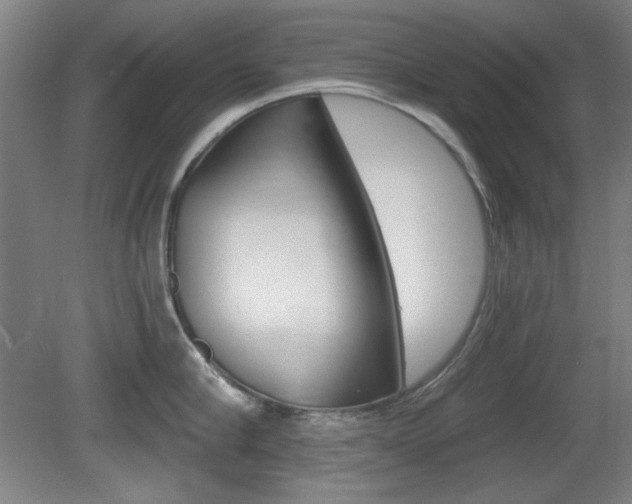 X0000081600910200701151050
