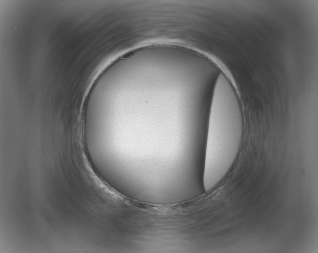 X0000081600911200701151050
