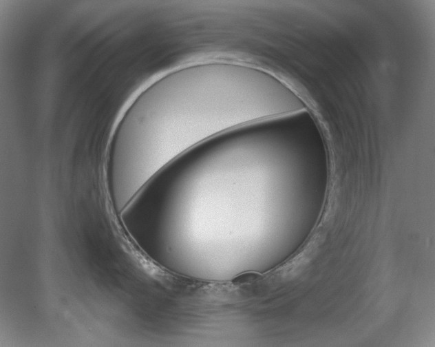 X0000081600912200701151050