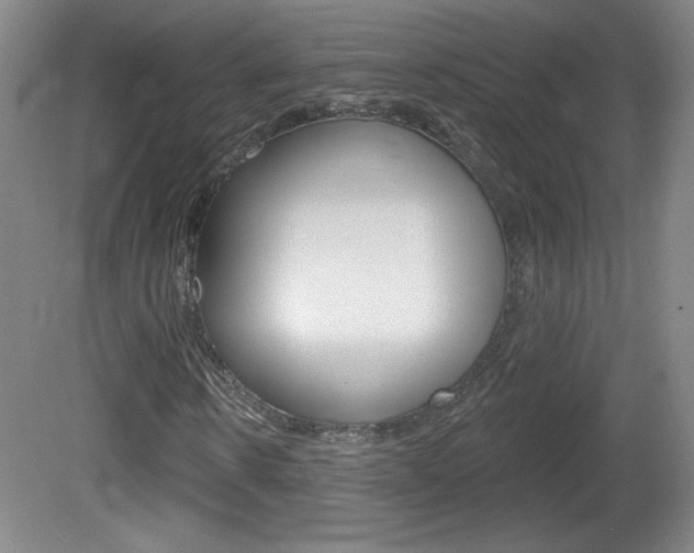 X0000081600914200701151049