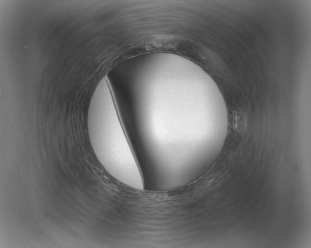 X0000081600915200701151050