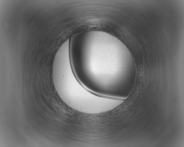 X0000081600916200701151050