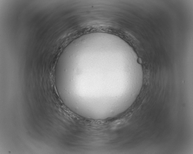 X0000081600917200701151050