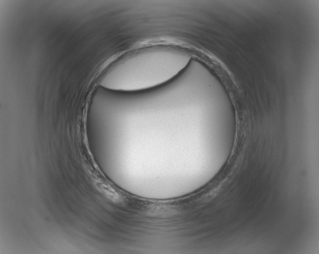 X0000081600921200701151050