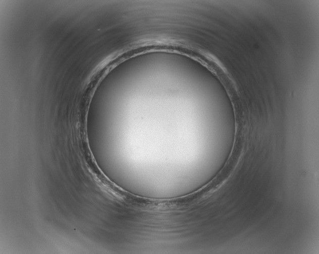 X0000081600922200701151050