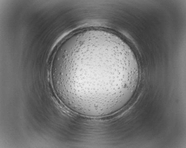 X0000081600925200701151050