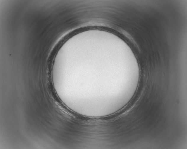 X0000081600926200701151050