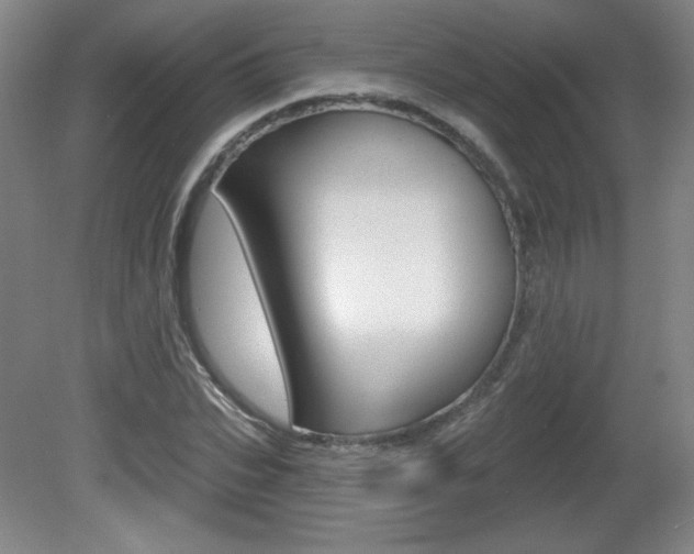 X0000081600927200701151050