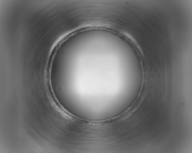 X0000081600928200701151050
