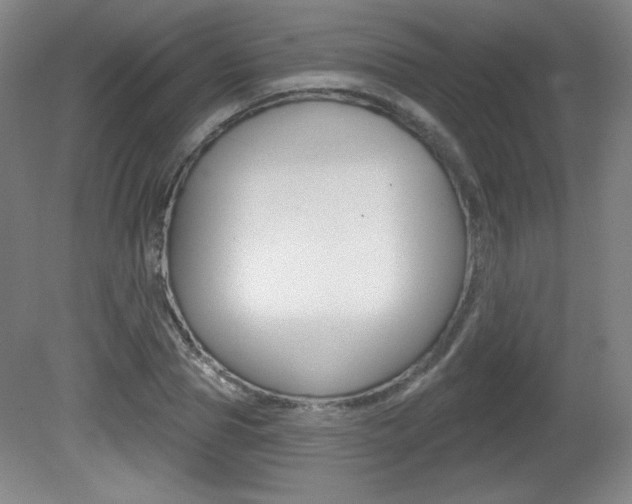 X0000081600929200701151050
