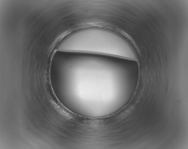 X0000081600930200701151050