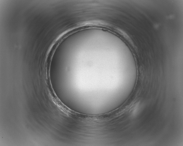 X0000081600931200701151050