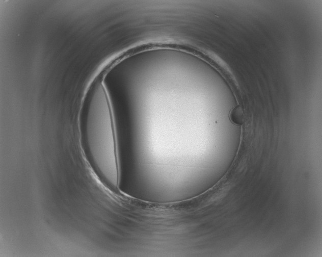 X0000081600935200701151050