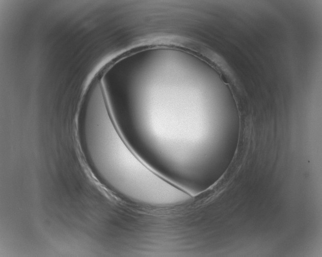 X0000081600936200701151050