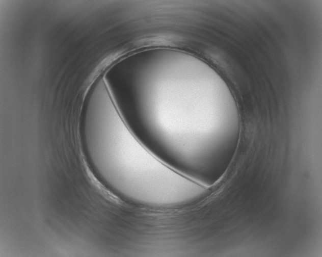 X0000081600938200701151050