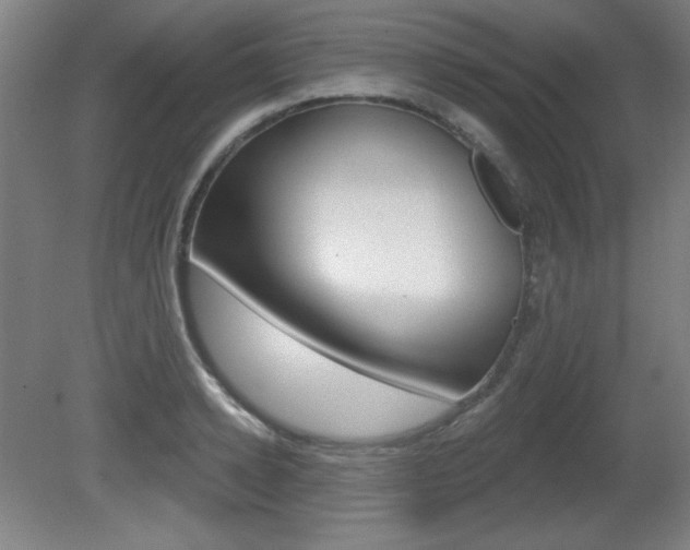 X0000081600942200701151050