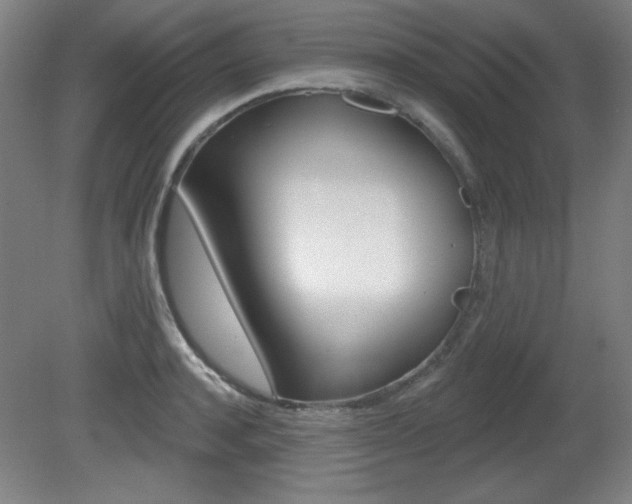 X0000081600944200701151050
