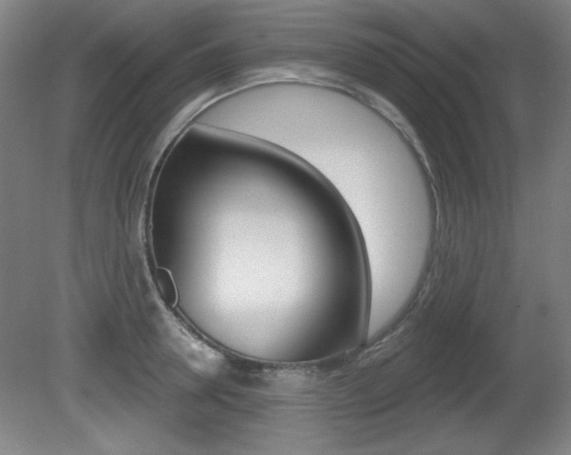 X0000081600946200701151050