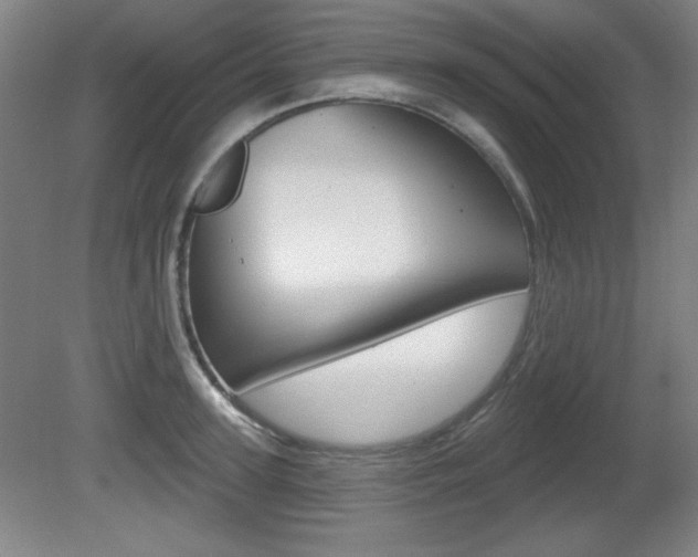 X0000081600947200701151050