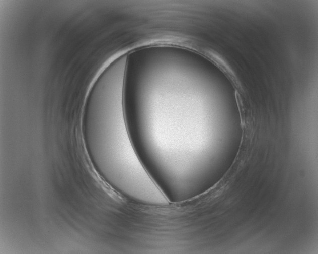 X0000081600948200701151050