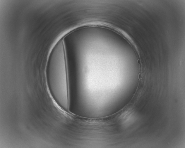 X0000081600951200701151050