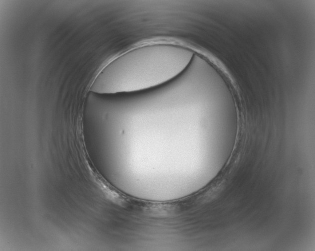 X0000081600953200701151050