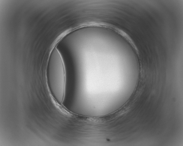 X0000081600954200701151050