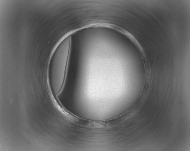 X0000081600955200701151050
