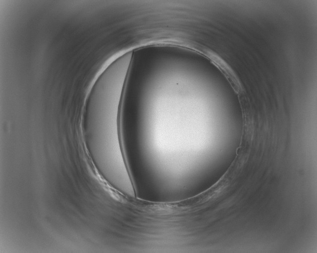 X0000081600956200701151050