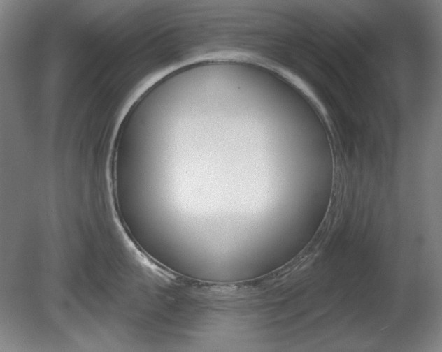 X0000081600959200701151050