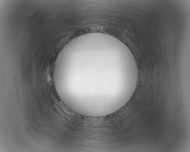 X0000081600962200701151049