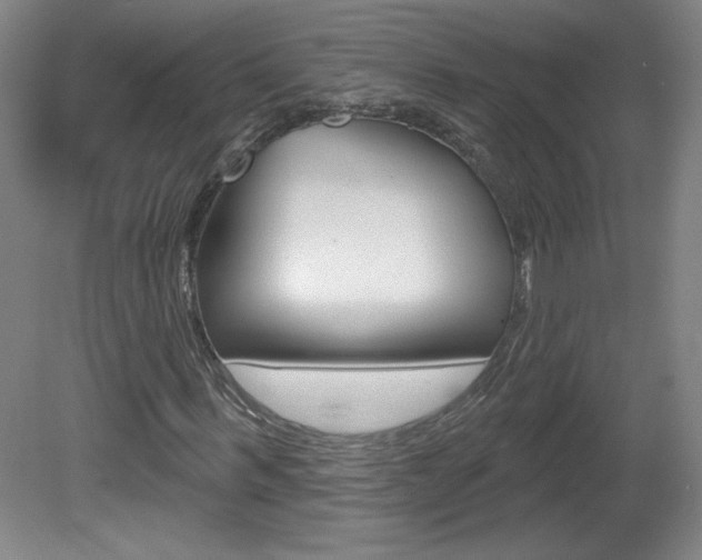 X0000081600963200701151049